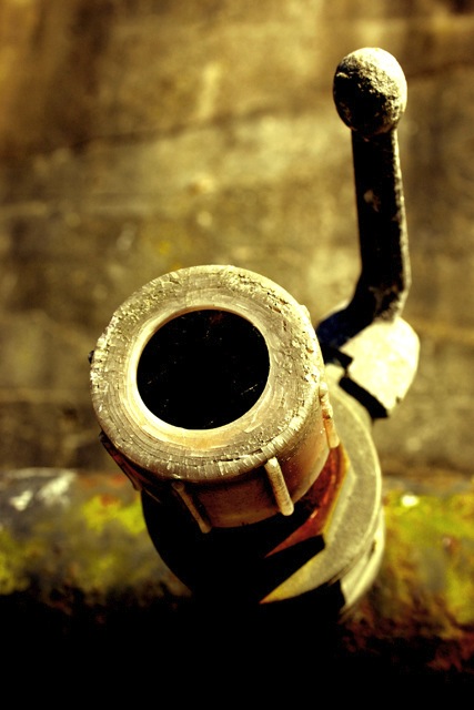 Loading Image